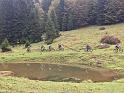 ASIAGO2018 (2)